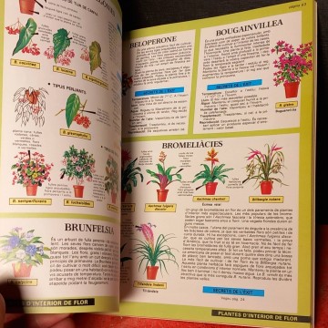 L'expert en plantes d'interior, D.G. Hessayon.