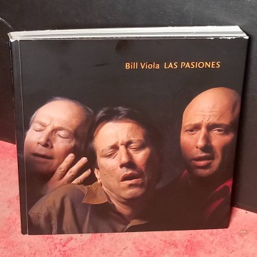 Las pasiones, Bill Viola.