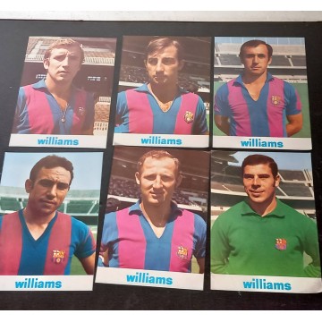 Lote 6 Ficha técnica Williams F.C. Barcelona.