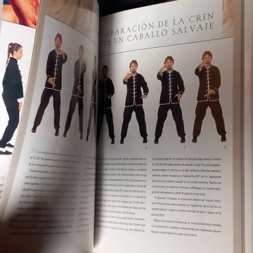 Tai chi, tranquilidad en movimiento, Christian F. Hanche.