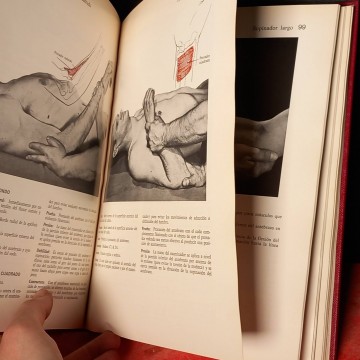 Músculos, pruebas y funciones, Henry Otis Kendall.