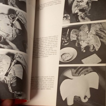 El arte del papel maché, Carlay John B. Kenny.