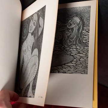 Jaume Turró, Dau al Set.