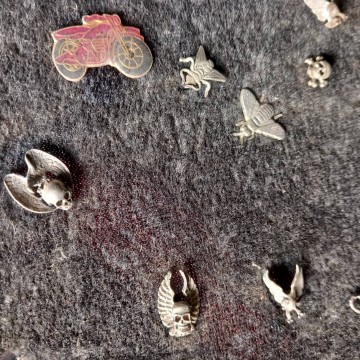 Lote 55 pins.