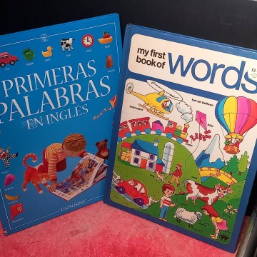 Lote 2 libros infantiles para aprender inglés.