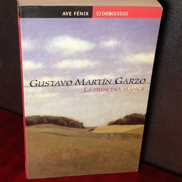 La princesa manca, Gustavo Martín Garzo.