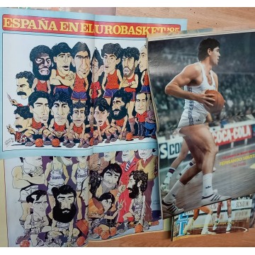 Lote Nuevo Basket 96, 126, 127, 128, 129, 132, 133, 134-135, 136.