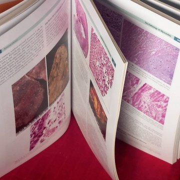 Diagnostic pathology of infectious disease, Richard L. Kradin.