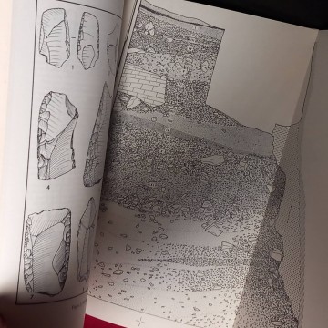 Antropología y paleoecología humana 1.
