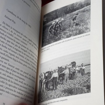 Des de la plana verda, Francesc Pascual.