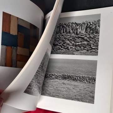 llibres art catalegs exposicions pintura barcelona llibreria