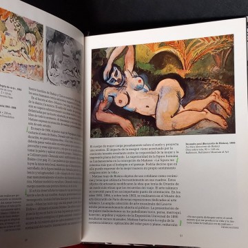 Henri Matisse, Vokmar Essers.