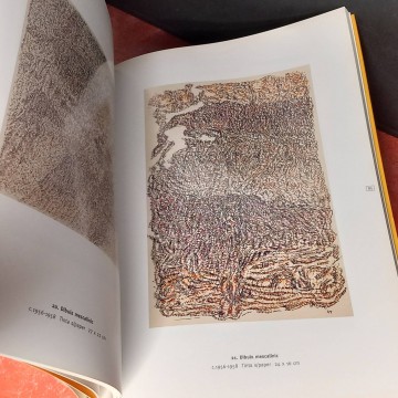 Henri Michaux, dibujos mescalínicos.