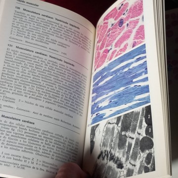Atlas de citología y anatomía microscópica, W. Kuhnel.