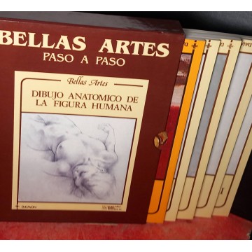 Bellas artes paso a paso.