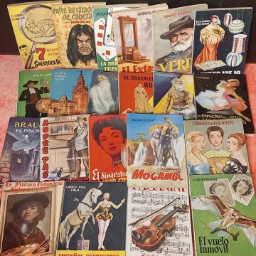 Lote 21 libros colección Enciclopedia Pulga.
