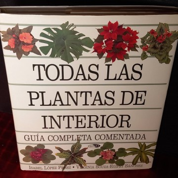 Todas las plantas de interior.
