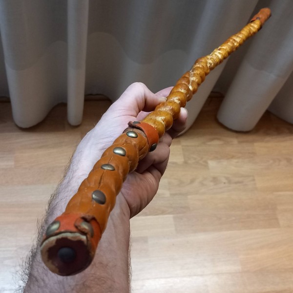 antiguo vergajo, pene de toro. antiguo vergajo, pene de toro.