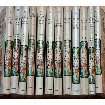 Lote 12 libros de los Hollister.