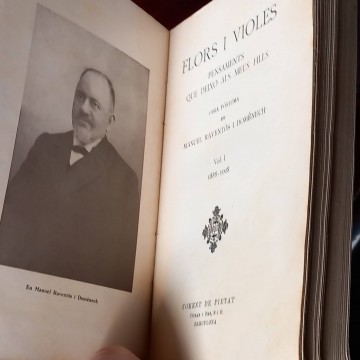Flors i violes I, Manuel Raventós.