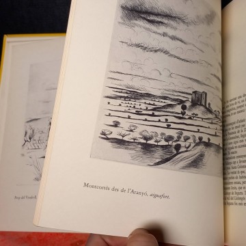 llibres barcelona llibreria llibres descatalogats usats antics