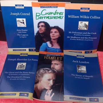 Lote 6 libros de textos bilingües castellano-inglés.