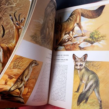 Fauna africana, Roby y Robert Dallet.