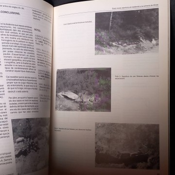 Estrat 4, Revista d’Arqueologia, Prehistòria i Història Antiga.