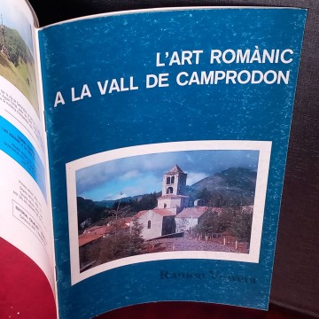 L'art romànic a la vall de Camprodon, Ramon Vinyeta.