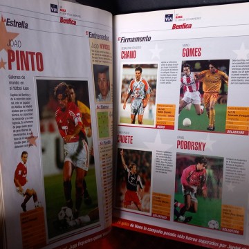 Álbum de cromos El libro de los campeones de Europa.