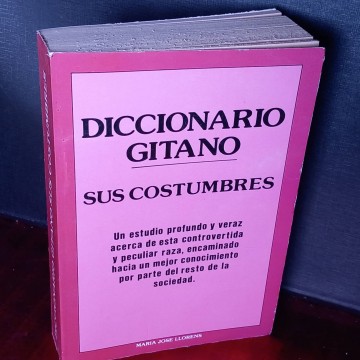 Diccionario gitano y sus costumbres, María José Llorens.