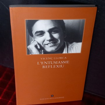 L'entusiasme reflexiu, Vicenç Llorca.