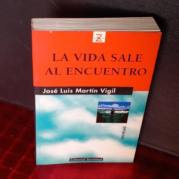 La vida sale al encuentro, José Luis Martín Vigil.