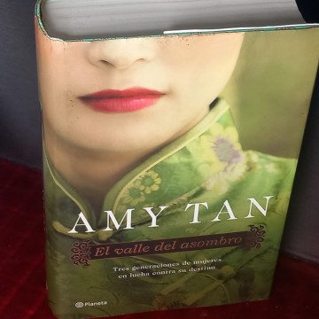 EL VALLE DEL ASOMBRO, AMY TAN.