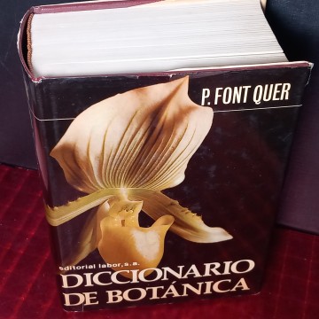 DICCIONARIO DE BOTÁNICA, P. FONT QUER.