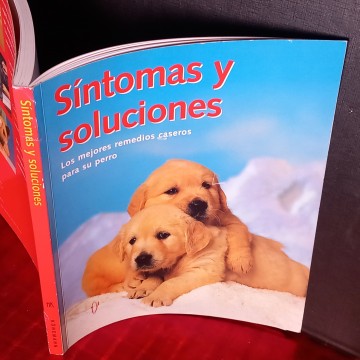 SÍNTOMAS Y SOLUCIONES, LOS MEJORES REMEDIOS CASEROS PARA SU PERRO.