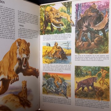 VIDA ÍNTIMA DE LOS ANIMALES DE LA PREHISTORIA