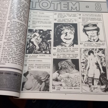 CÓMIC TOTEM 8