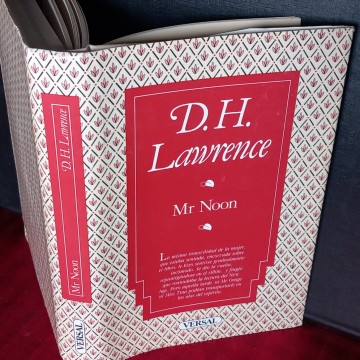 MR. NOON, D.H. LAWRENCE.