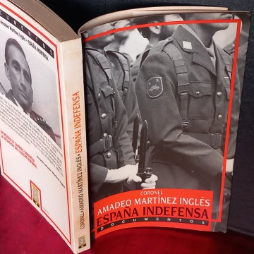 ESPAÑA INDEFENSA, AMADEO MARTÍNEZ INGLÉS