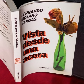 VISTA DESDE UNA ACERA, FERNANDO MOLANO VARGAS.