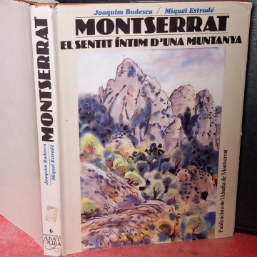 MONTSERRAT, EL SENTIT ÍNTIM D'UNA MUNTANYA, JOAQUIM BUDESCA I MIQUEL ESTRADÉ.