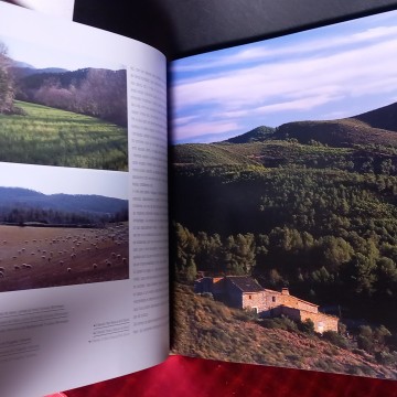 BOSCOS DE CATALUNYA, MARTÍ BOADA