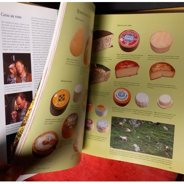 UN PASEO GASTRONÓMICO POR ESPAÑA, MARION TRUTTER.
