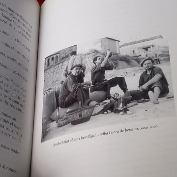 LES FEINES DE LA VELLA PAGESIA, MIQUEL PONT