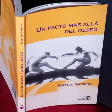 NOVELAS LÉSBICAS BARCELONA LIBRERIA LIBROS USADOS LESBIANISMO