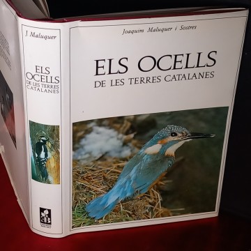 ELS OCELLS DE LES TERRES CATALANES, JOAQUIM MALUQUER
