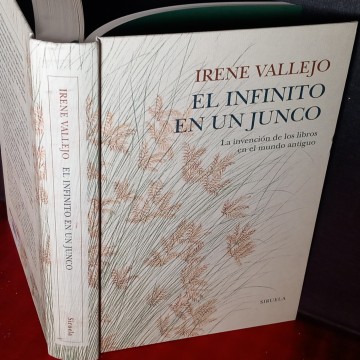 EL INFINITO EN UN JUNCO, IRENE VALLEJO.