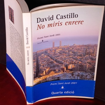 NO MIRIS ENRERE, DAVID CASTILLO.