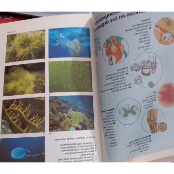 MANUAL DE SUBMARINISMO, T. KROMP